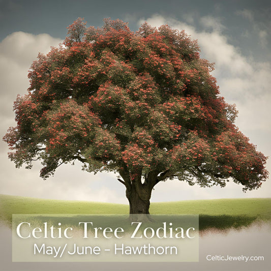 May-June: The Hawthorn Tree